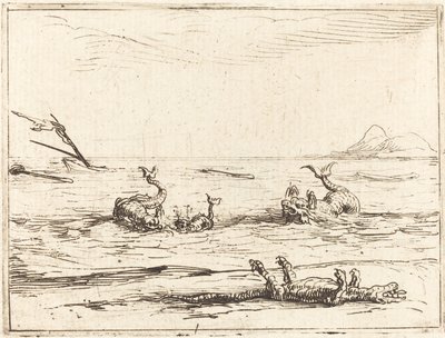 Delfine und Krokodil von Jacques Callot