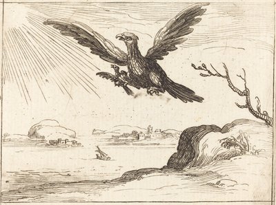 Adler und Junges von Jacques Callot