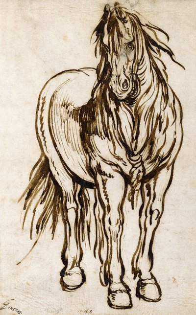Studie eines Pferdes von Jacques Callot