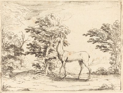 Das Reh von Jacques Callot