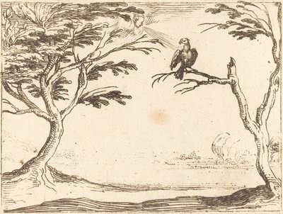 Der Geier von Jacques Callot