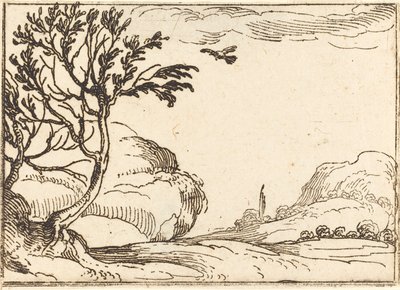 Turteltaube fliegt in der Wüste von Jacques Callot