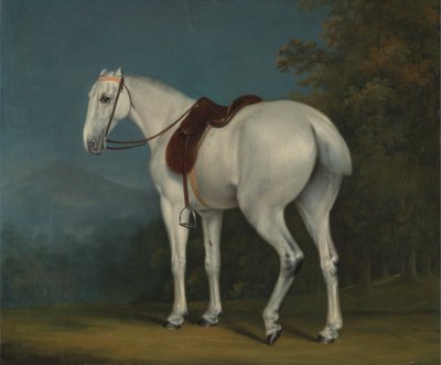 Der Graue Jäger einer Dame von Jacques Laurent Agasse