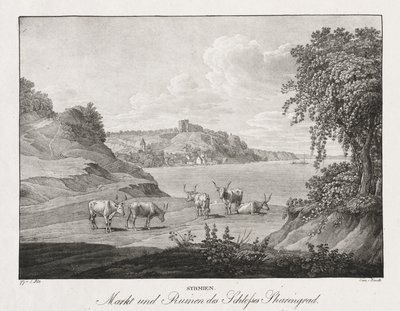 Syrmien, Markt und Ruinen des Schlosses Sharengrad von Jakob Alt