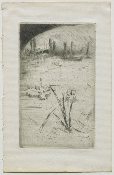 Schwan und Iris, 1883 von James Abbott McNeill Whistler
