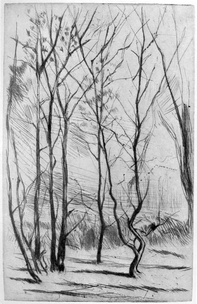 Der Dam-Wald, um 1875, 1904 von James Abbott McNeill Whistler