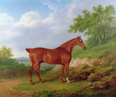 Kastanienbrauner Jäger in einer Landschaft von James Barenger