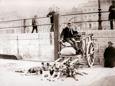 Mann mit Hundekarren, Antwerpen, 1898 von James Batkin