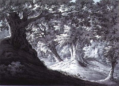 Beddington, Surrey von James Bourne