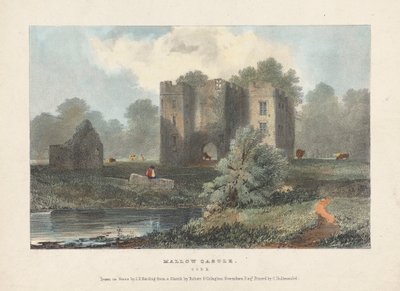 Mallow Schloss von James Duffield Harding