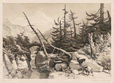 Kiefern und Brücke von James Duffield Harding