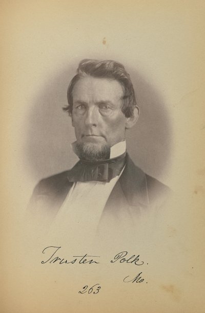 Trusten Polk von James Earle McClees