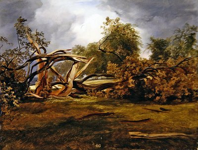 Die gesprengte Eiche von James Giles