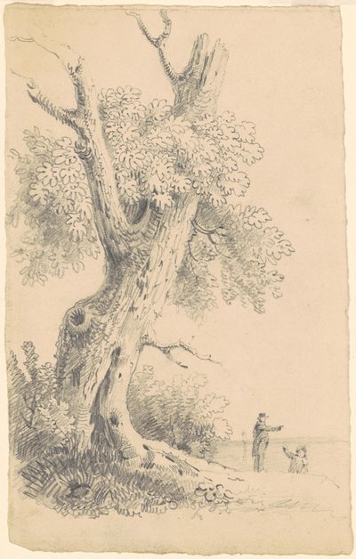 Baum in der Nähe des Ufers von James Goodwyn Clonney