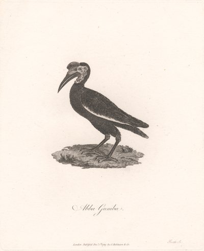 Abba Gumba von James Heath