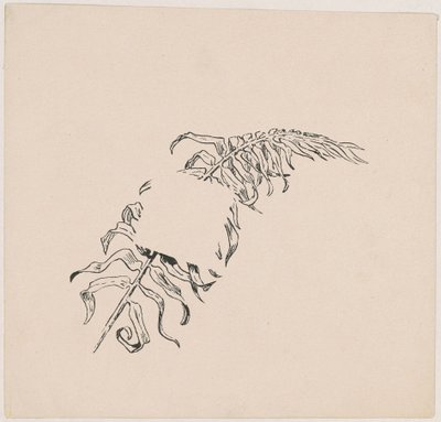 Zweig von James Henry Moser
