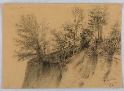 Klippe und Bäume, Vicksburg, Miss. von James Henry Moser