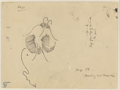 Schmetterling (recto); Fragment eines Schmetterlings (verso) von James McNeill Whistler