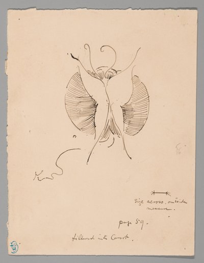 Schmetterling (recto); Fragment eines Schmetterlings (verso) von James McNeill Whistler