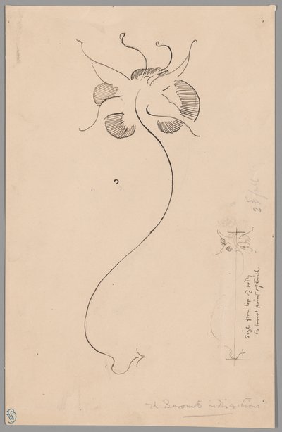 Schmetterling (recto); Studie eines Schmetterlings (verso) von James McNeill Whistler