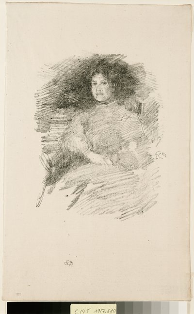 Feuerlicht von James McNeill Whistler