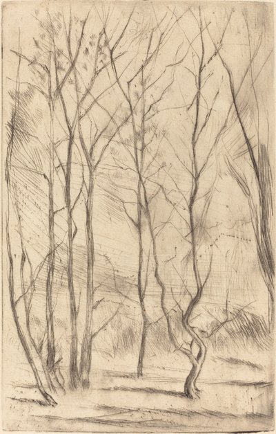 Der Dammwald von James Abbott McNeill Whistler