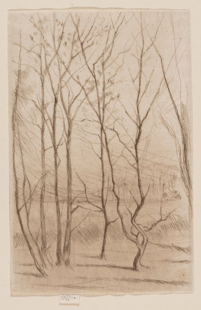 Der Dammwald von James Abbott McNeill Whistler
