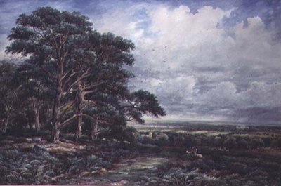 Bradgate Park bei Leicester von James Orrock