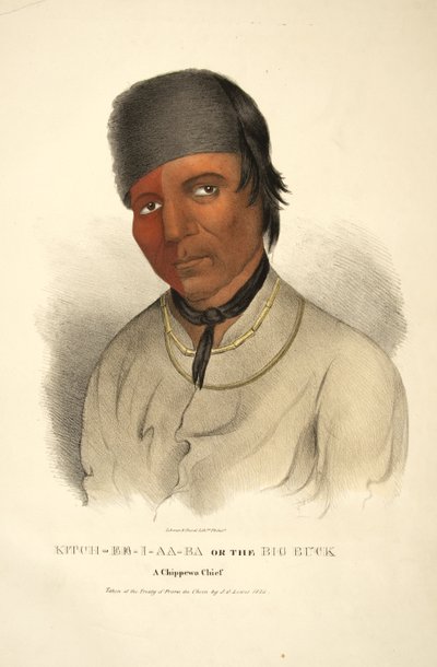 Kitch-ee-i-aa-ba oder der Große Bock von James Otto Lewis