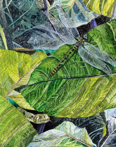 Wasserschlange und Libelle, 1971 von James Reeve