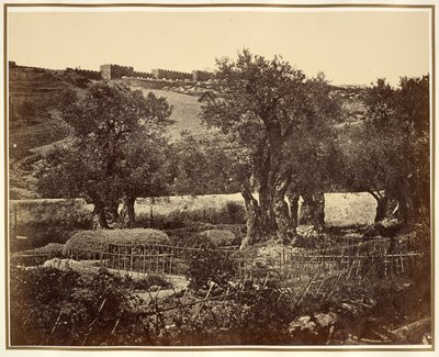 Der Garten Gethsemane von James Robertson