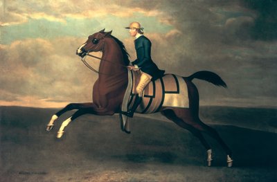 Flying Childers von James Seymour