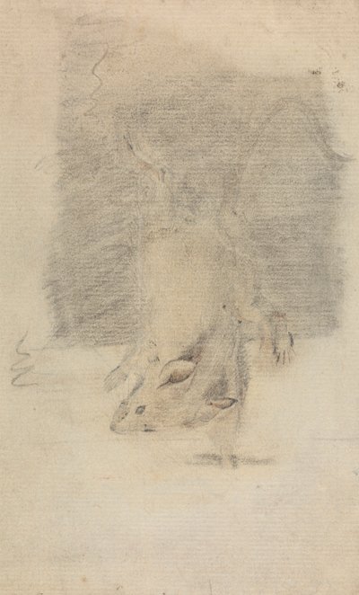 Eine Maus von James Sowerby