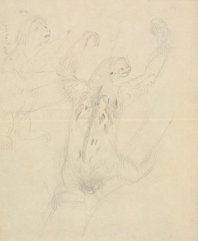 Zwei Faultiere von James Sowerby