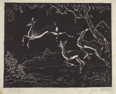 Flucht von James W. Reid