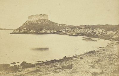 Fort Dumplings von James Wallace Black