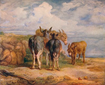 Esel, ca. 1831-1904 von James Ward