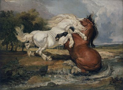 Kämpfende Pferde von James Ward