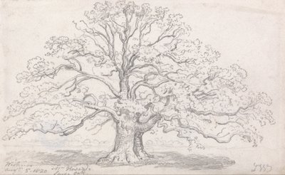 Mr. Howards große Eiche, 5. August 1820 von James Ward