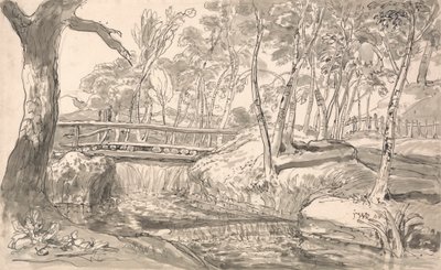 Flusslandschaft mit Wasserfall von James Ward