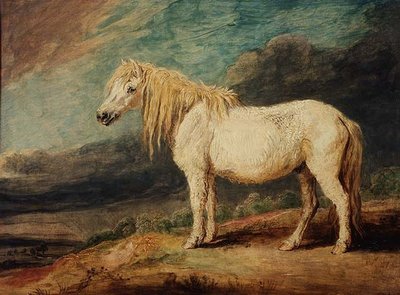 Shetlandpony von James Ward