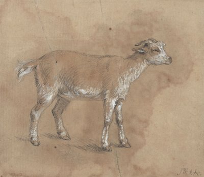 Studie eines Kitzes von James Ward