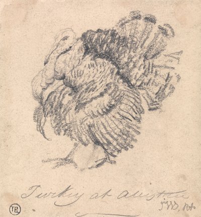 Studie eines Truthahns von James Ward