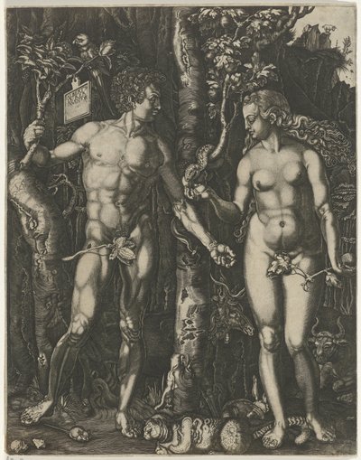 Sündenfall von Jan Baptist Goossens