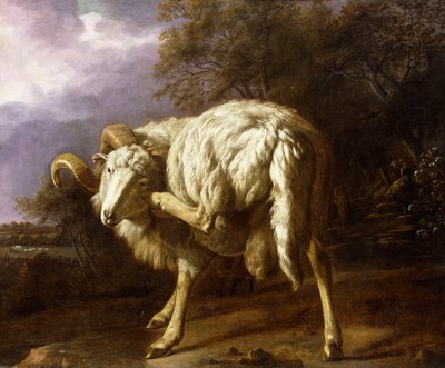 Ein Widder in einer bewaldeten Landschaft von Jan Baptist Weenix