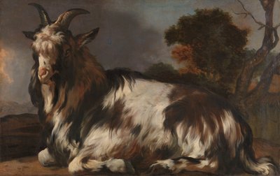 Liegende Ziege von Jan Baptist Weenix