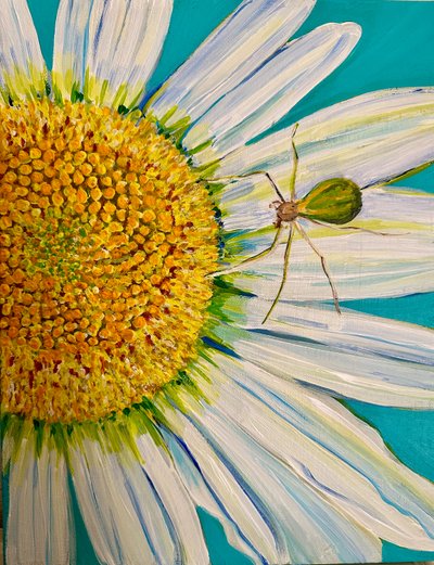 Wassermelonen-Spinne, 2023 von Jan Barzottini