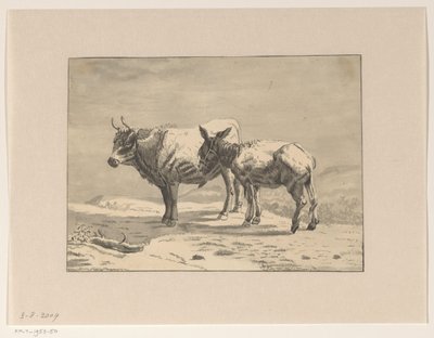 Stier und ein Esel von Jan Bedijs Tom
