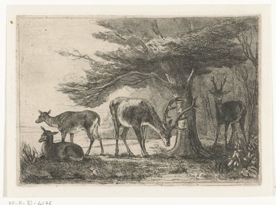 Waldrand mit Hirschen von Jan Bos Wz.