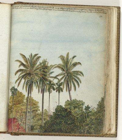 Blick aus dem Fenster von Jan Brandes